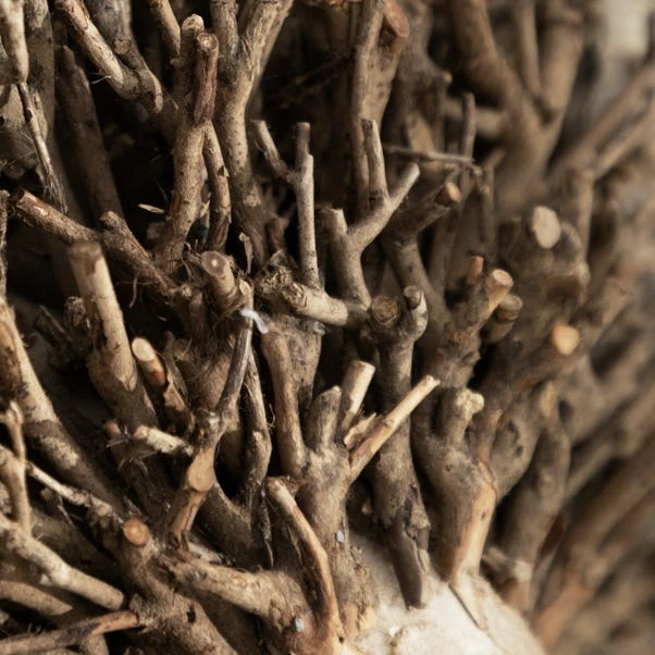 Voyage Maison Beau Wall Mounted Ram Head Ornament - Image 2